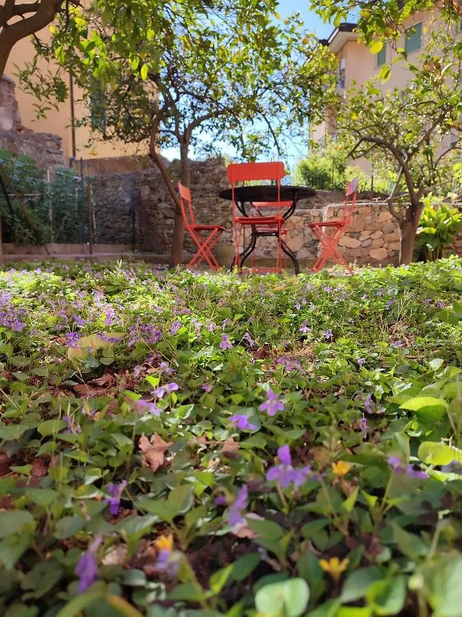 Apartment With Private Garden contacts